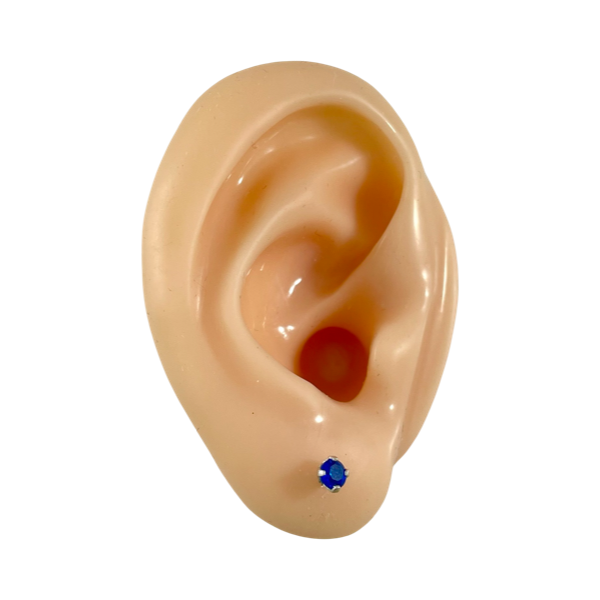 Topos Brillo Descendiente