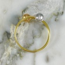 Anillo Duo Colors