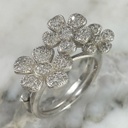 Anillo Doble Flores