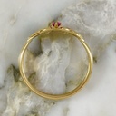 Anillo Coraza de Amor