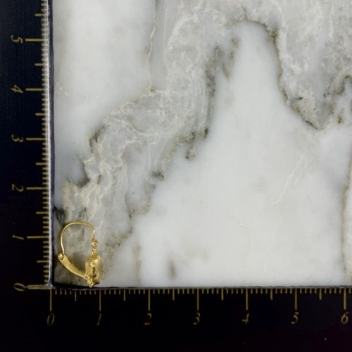 Aretes Hipopotamos