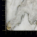Arete Delfin