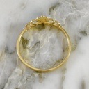 Anillo Luz de Princesa