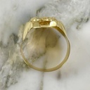 Anillo Horse Glitter