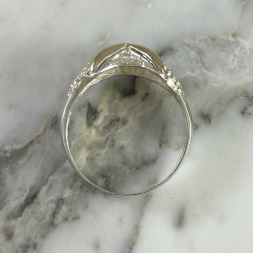 Anillo Centinela Nocturno