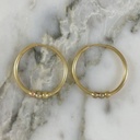 Candonga Colors Clasica Fina