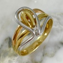 Anillo Knot