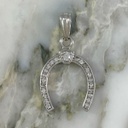 Shiny Horseshoe Pendant