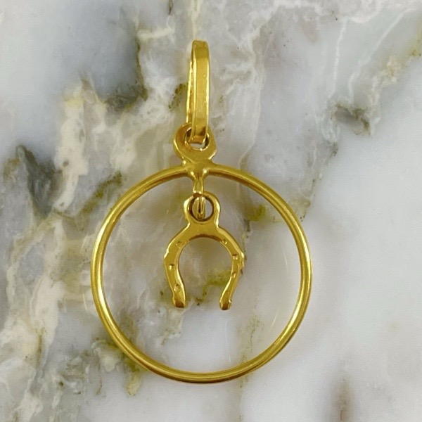 Horseshoe in Hoop Pendant