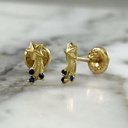 Shooting Star Screw-Back Studs