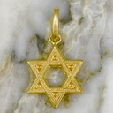 Carved Star of David Pendant