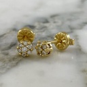Topos Clavel de Diamantes