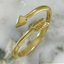 Anillo Flecha Espiral Thick