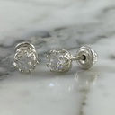 Crown Screw-Back Stud Earring