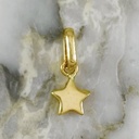 Small Classic Star Pendant