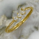 Anillo Aries