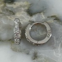 Subtle Hindi Hoop Earring