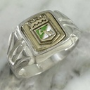 Anillo Verdolaga