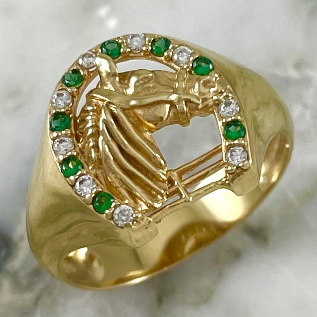 Horseshoe and Horse Ring